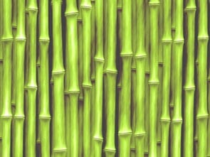 Pierwsze hypoalergiczne zapachy dla Twojego domu 4 bamboo