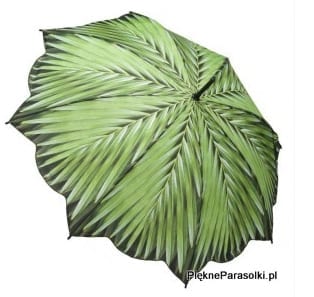 piekne parasolki2