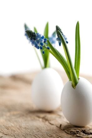 Dekoracje wielkanocne 1 pisanka2