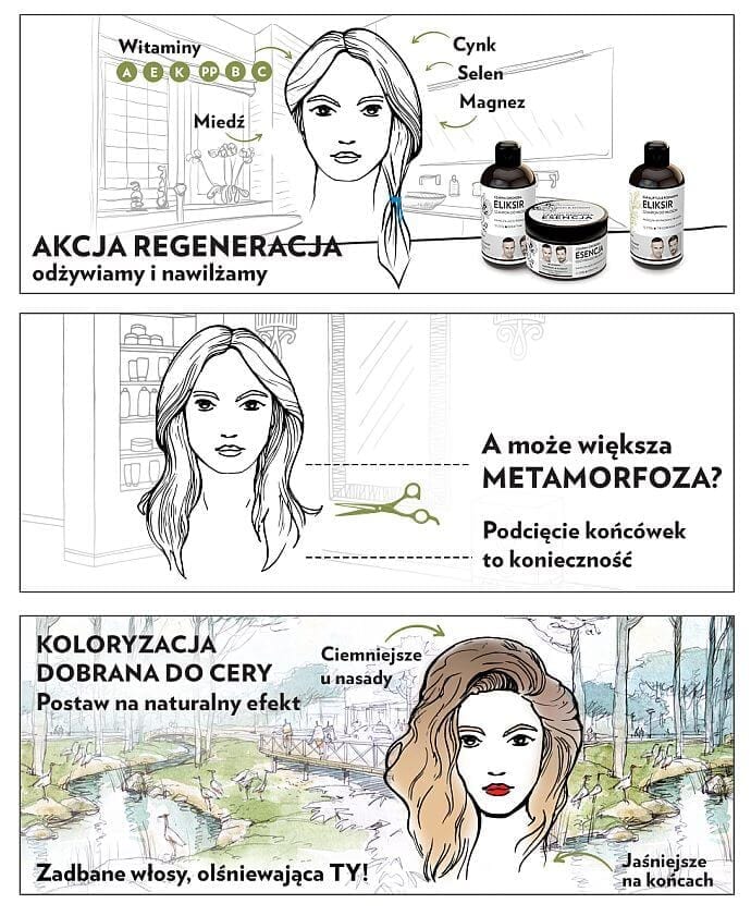 infografika ok
