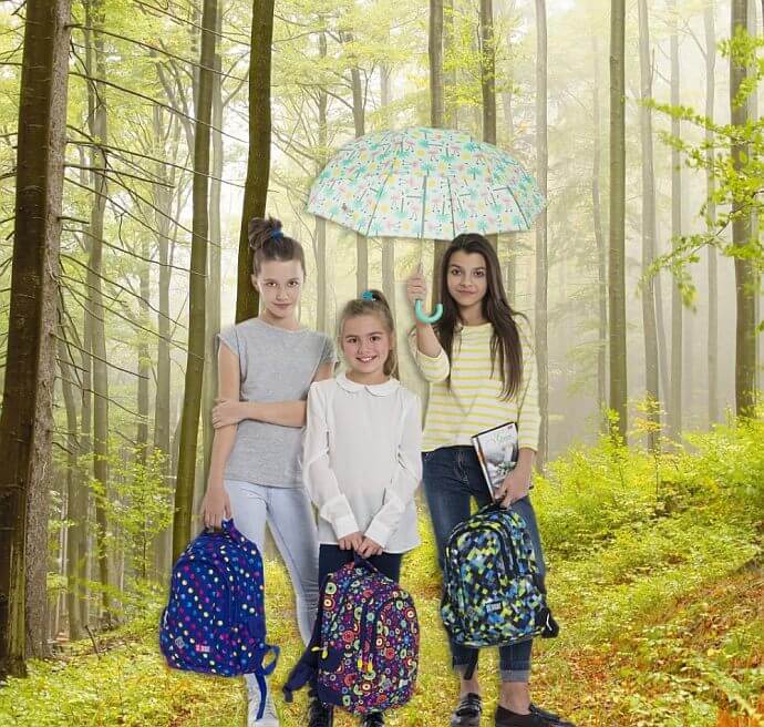 Lane running through autumn woods on a foggy morning