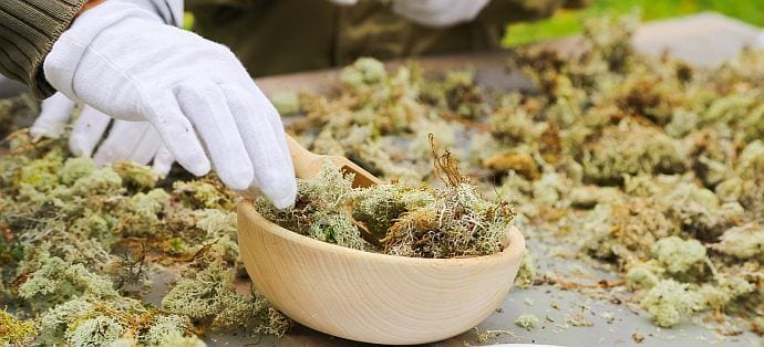 Natura Siberica 01 top