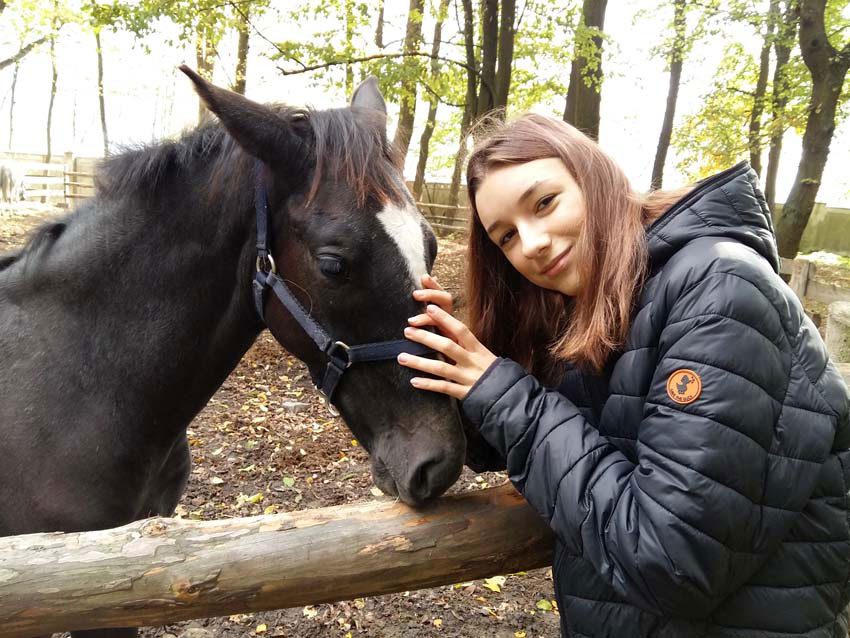 konik Pałac Alexandrinum