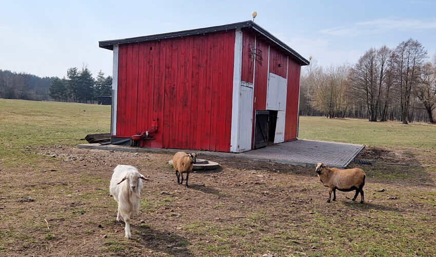 Reportaż z pobytu w Pałacu i Folwarku Łochów – idealne miejsce na rodzinny wyjazd blisko Warszawy 41 20250322 105603