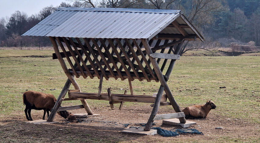 Reportaż z pobytu w Pałacu i Folwarku Łochów – idealne miejsce na rodzinny wyjazd blisko Warszawy 40 20250322 105653