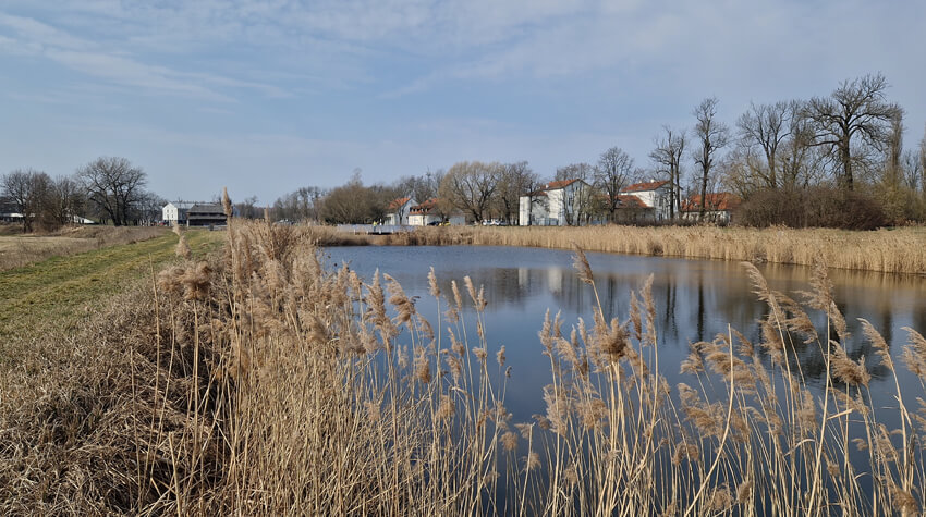 Reportaż z pobytu w Pałacu i Folwarku Łochów – idealne miejsce na rodzinny wyjazd blisko Warszawy 29 20250322 111346