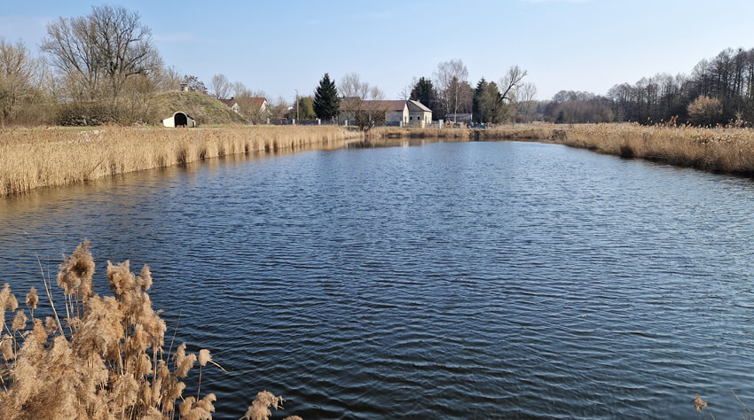 Reportaż z pobytu w Pałacu i Folwarku Łochów – idealne miejsce na rodzinny wyjazd blisko Warszawy 30 20250322 111941