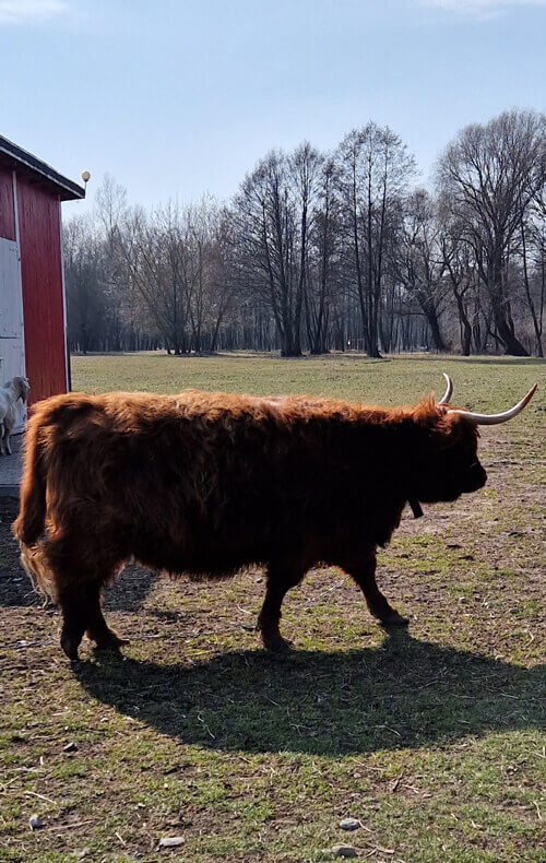 Reportaż z pobytu w Pałacu i Folwarku Łochów – idealne miejsce na rodzinny wyjazd blisko Warszawy 44 20250322 130051