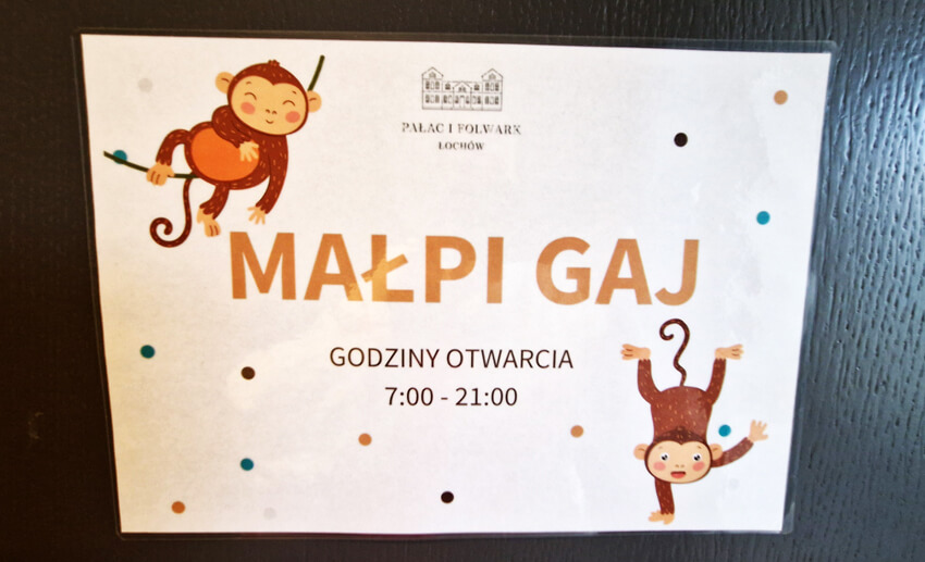 Reportaż z pobytu w Pałacu i Folwarku Łochów – idealne miejsce na rodzinny wyjazd blisko Warszawy 15 20250322 143524