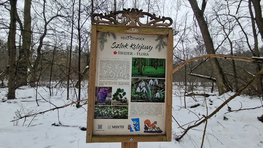 Reportaż - Zimowy weekend we dwoje w Z-Hotel Business & SPA w Otwocku 21 Z-Hotel Business & SPA